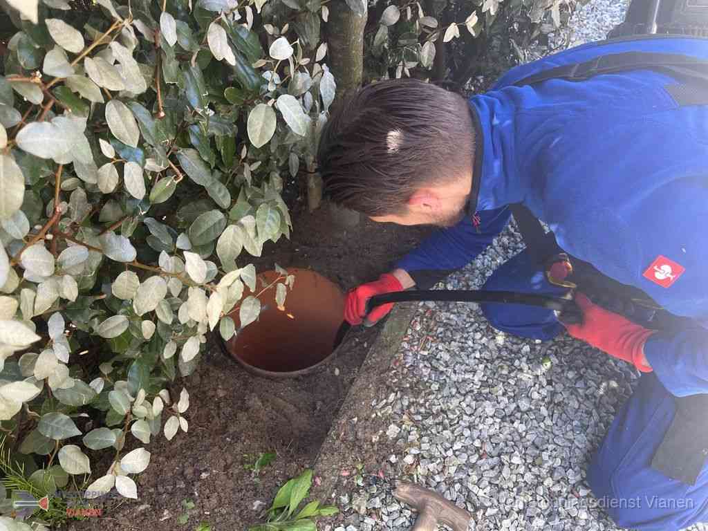Rioolvliegjes Vianen Rioolvliegjes Vianen